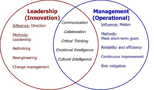 Figure 1. Leadership and management.