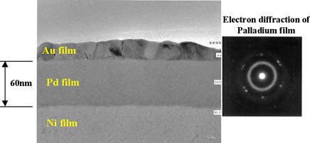 TEM analysis results of ENEPIG film