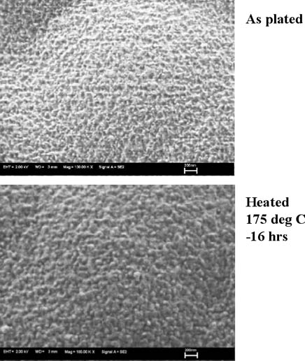 FE-SEM image of gold surface