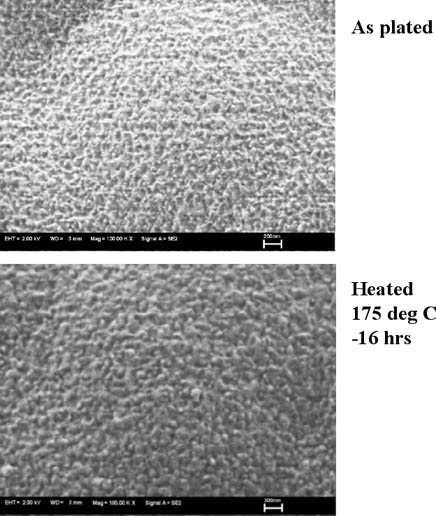 FE-SEM image of gold surface