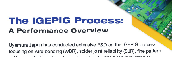 The IGEPIG Process